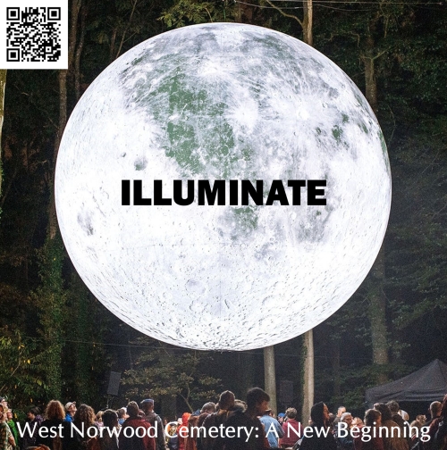 Illuminate Museum of the Moon